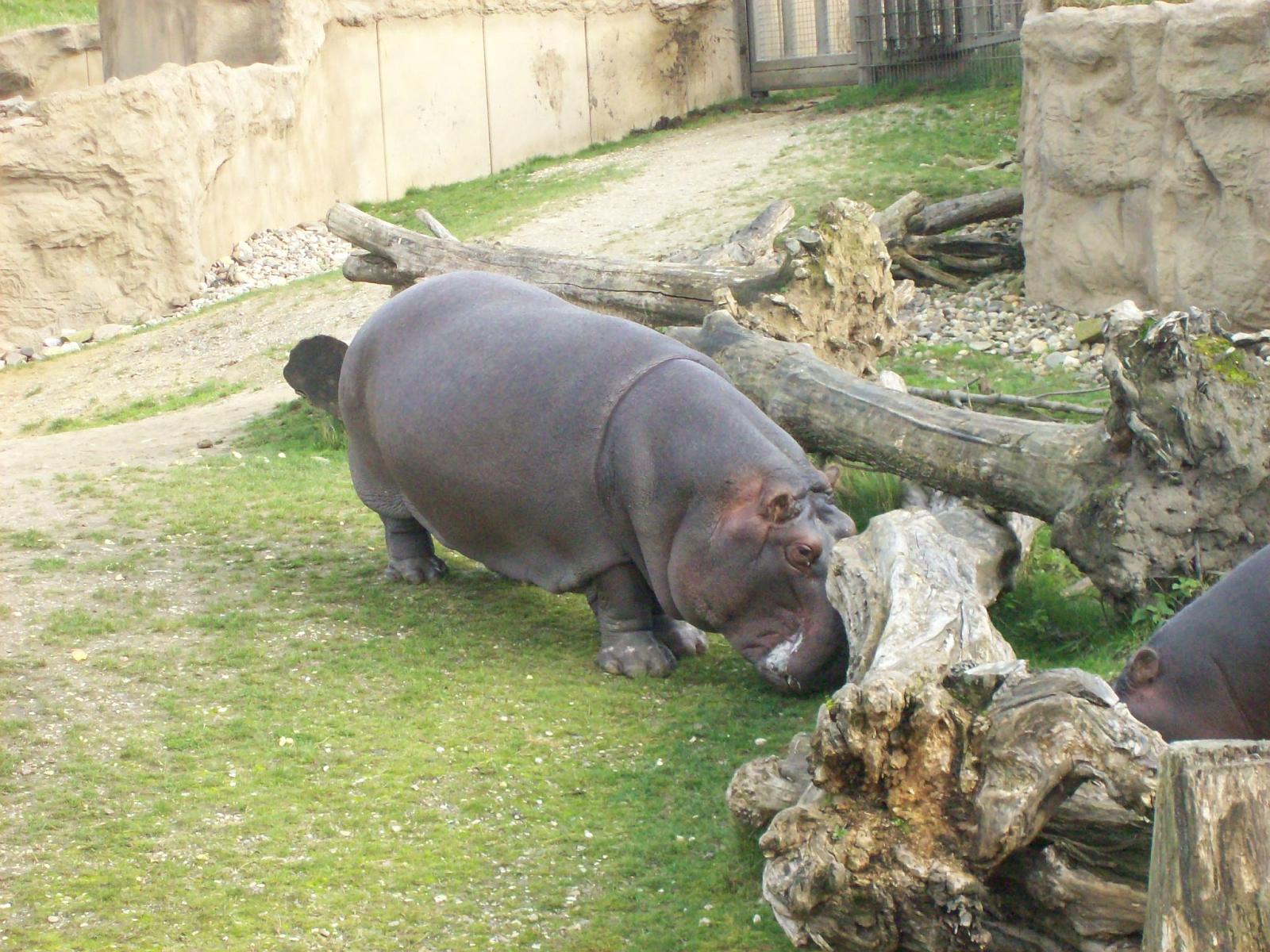 Zoom 18.10.2008-189.jpg
